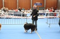 IMG_0003