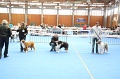 IMG_0014