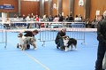 IMG_0062