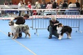 IMG_0063