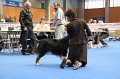 IMG_0090