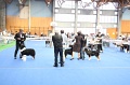 IMG_0107