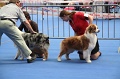 IMG_0112