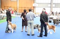 IMG_0145