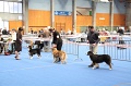 IMG_0180
