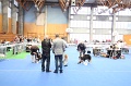 IMG_0181