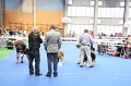 IMG_0184