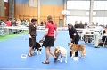 IMG_0196