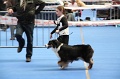 IMG_0221