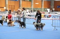 IMG_0265