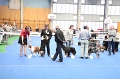 IMG_0281
