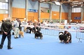 IMG_0296