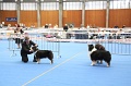 IMG_0301
