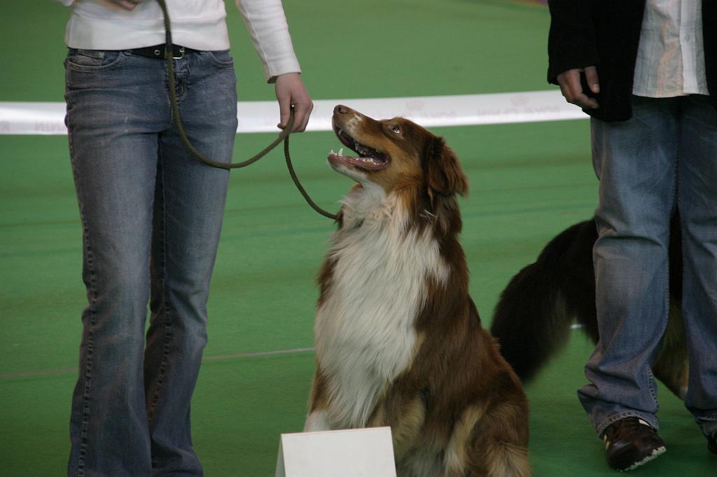 Colmar_035.JPG