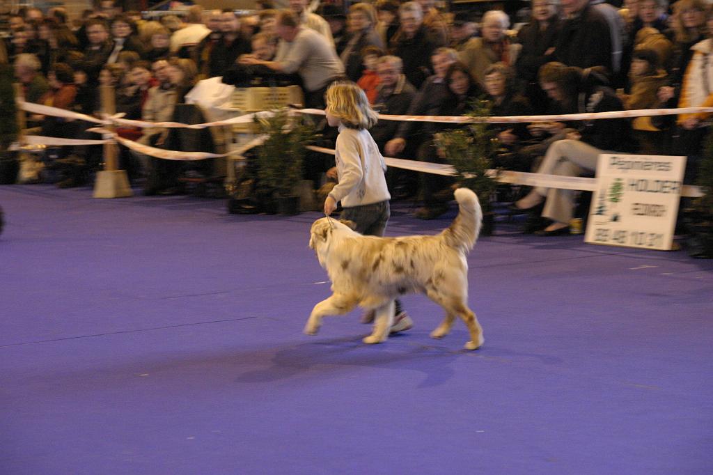Colmar_198.JPG