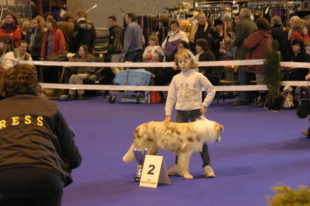 Colmar_210.JPG