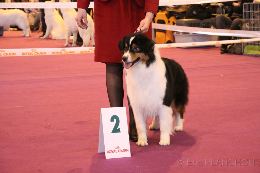 IMG_0271.JPG