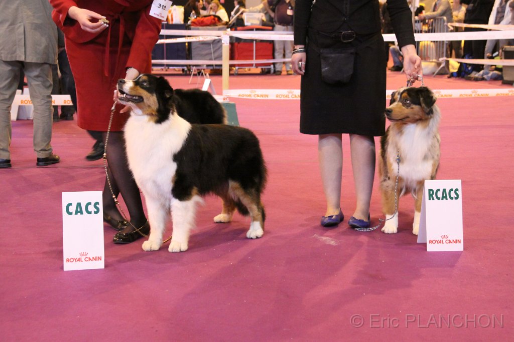 IMG_0308.JPG