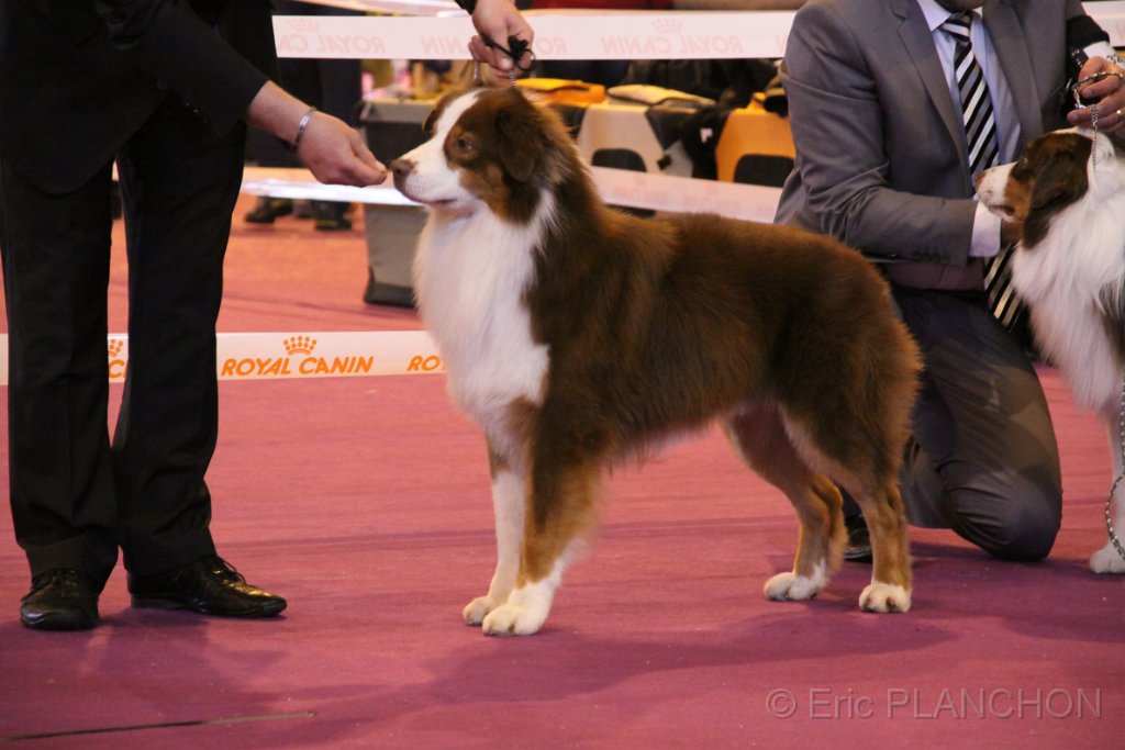 IMG_0498.JPG