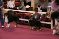 IMG_0014
