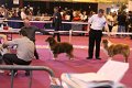 IMG_0020