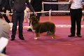 IMG_0026