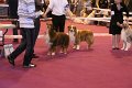 IMG_0037