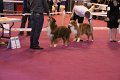 IMG_0038