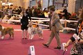 IMG_0039