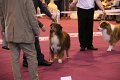 IMG_0042