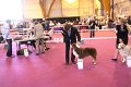 IMG_0047