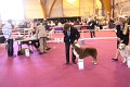 IMG_0048