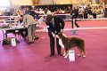 IMG_0050