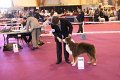 IMG_0051