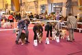 IMG_0094