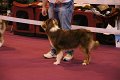 IMG_0118