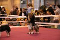 IMG_0127