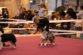 IMG_0128