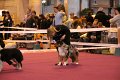 IMG_0129