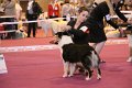 IMG_0137