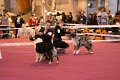 IMG_0146