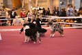 IMG_0147