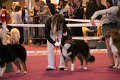 IMG_0151