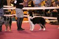 IMG_0169
