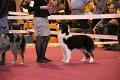 IMG_0170