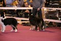 IMG_0172