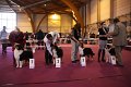 IMG_0210