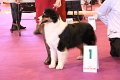IMG_0220