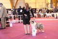 IMG_0250