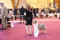 IMG_0252
